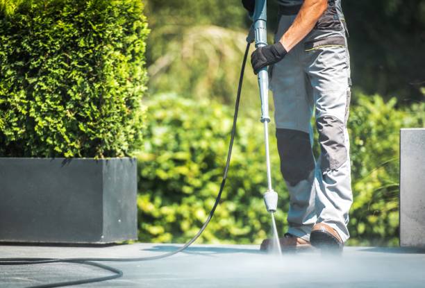 Animal Enclosure Cleaning in Lewisburg, KY